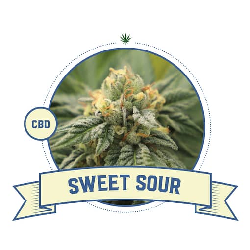 Sweet Sour