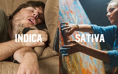 Indica versus Sativa
