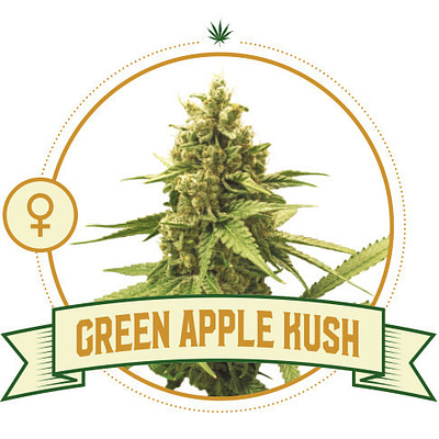 Green Apple Kush Feminized Cannabis Seeds