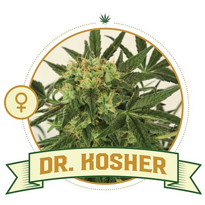 Dr Kosher