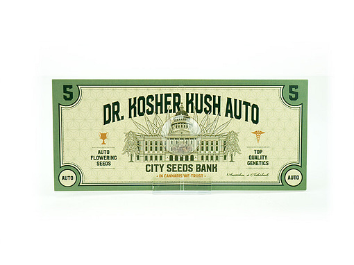 DR Kosher Kush Auto