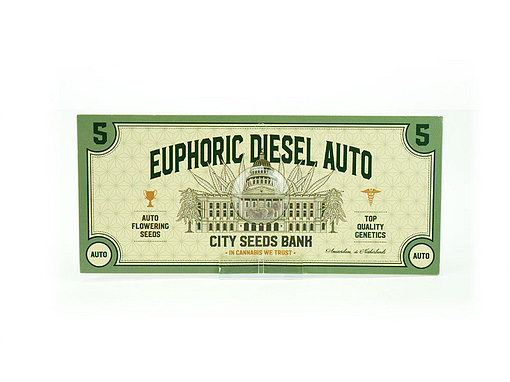 Euphoric Diesel Auto