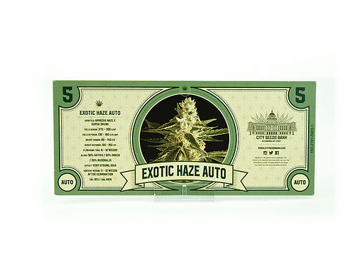 Exotic Haze Automatic Cannabis Seeds