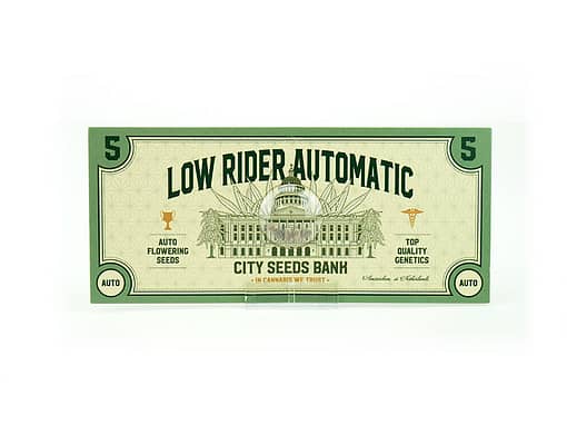 Low Rider Automatic Cannabis Seeds