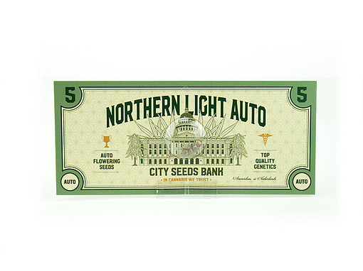 Northern Light Auto