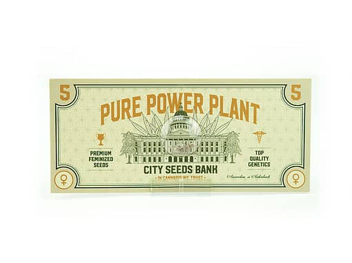 Pure Power Plant Cannabis Seeds