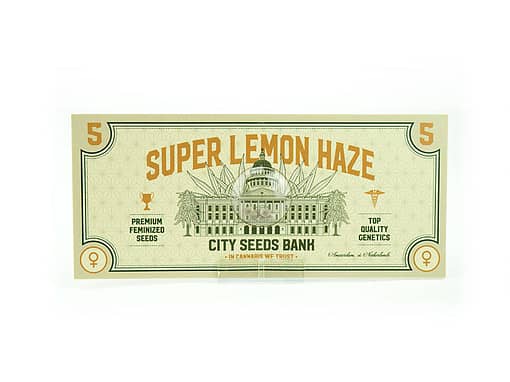 Super Lemon Haze Feminised