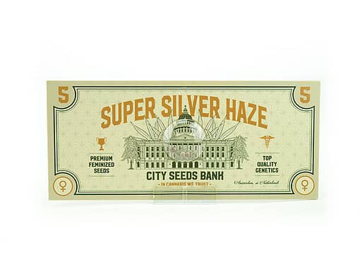 Super Silver Haze Feminised