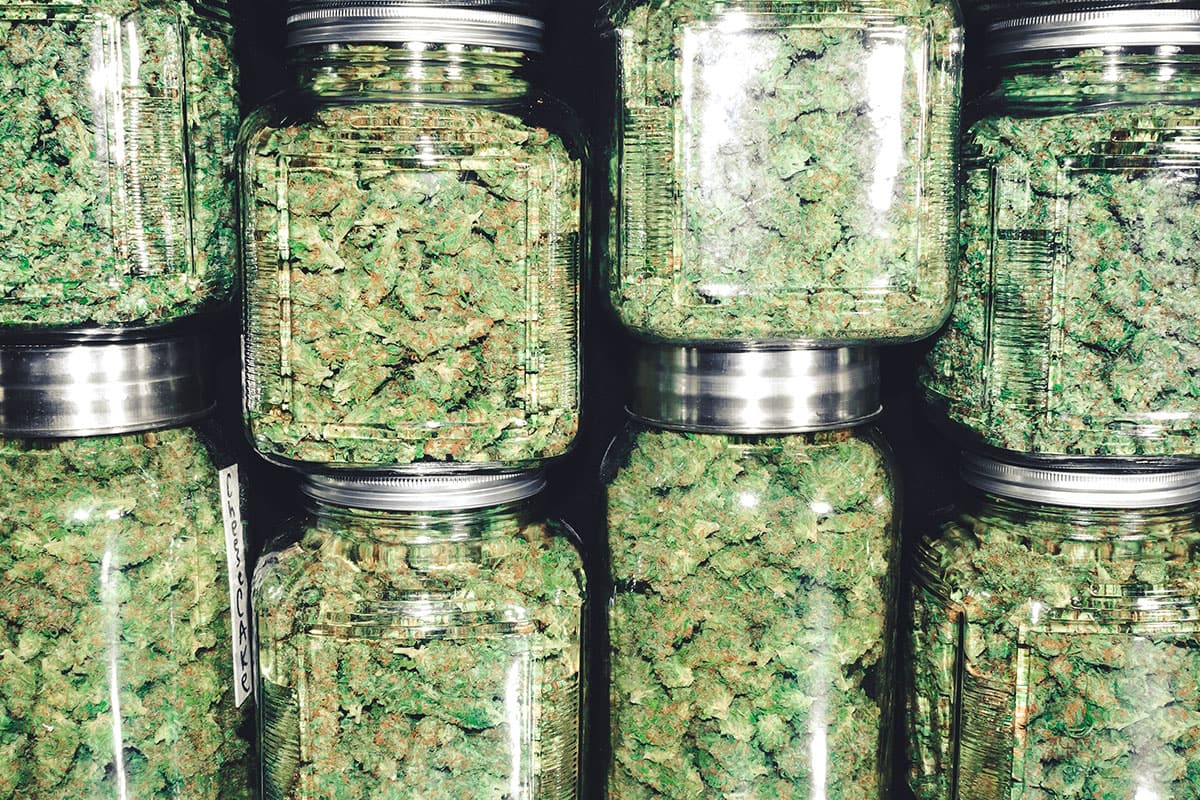 Curing Cannabis in Mason Jars